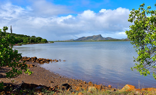 Warf De Tomo, New Caledonia. (Philip Wood Photography)