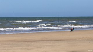 Parque Nacional de Do&ntilde;ana - JosCar - 050626 - 3 (98) (Jos&eacute; Carlos Cabello)