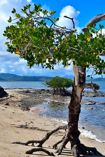 Tanghy Beach, New Caledonia. (Philip Wood Photography)