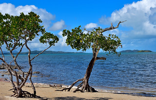 Tanghy Beach, New Caledonia. (Philip Wood Photography)