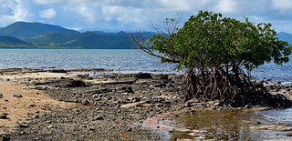 Tanghy Beach, New Caledonia. (Philip Wood Photography)