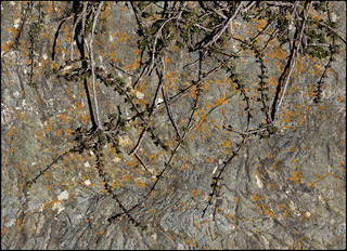 Hi ha qui s'encanta mirant una roca (fotopsia.cat)