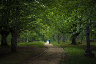 El camino. (santiago.villanueva50)