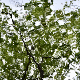 Abstraction liquide (bernard.saubot)