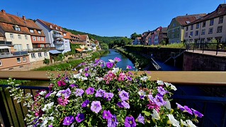 Wertheim (Rolfmundi)