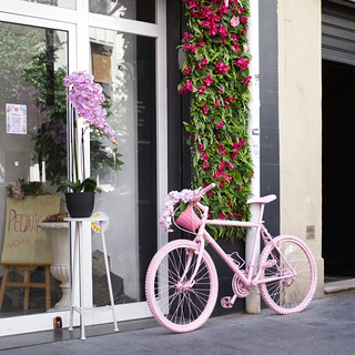 PINK-BICYCLE-DSCF4767-XT3 (rlginer)