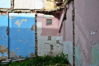 DSC_8570 (Y. Oğuz)