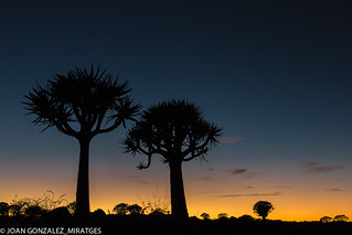 NAMIBIA 2026 (Joan Gonz&aacute;lez_Miratges)