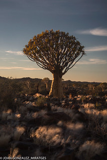 NAMIBIA 2026 (Joan Gonz&aacute;lez_Miratges)