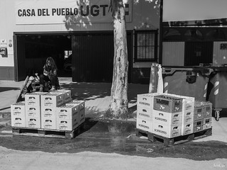Feria de C&oacute;rdoba 2026, el d&iacute;a despu&eacute;s - JosCar - 310526 - 1 (71) (Jos&eacute; Carlos Cabello)