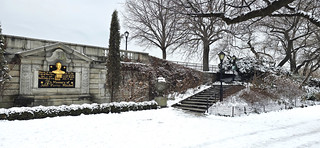 CENTRAL PARK in winter (JAVIER_GALLEGO)