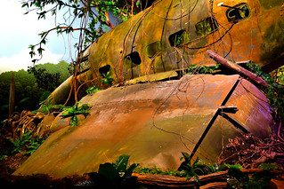 Omaka Aviation Heritage Mueum, New Zealand. (Philip Wood Photography)
