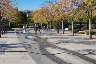 Paseando por el parque. (J.G.Sansano)