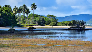 Poe Beach, New Caledonia. (Philip Wood Photography)