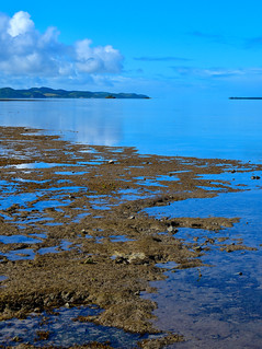 Poe Beach, New Caledonia. (Philip Wood Photography)
