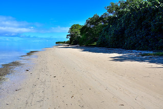 Poe Beach, New Caledonia. (Philip Wood Photography)