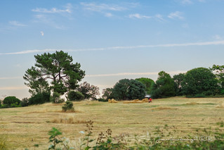 La paz del campo (Jos&eacute; Antonio Domingo RODR&Iacute;GUEZ RODR&Iacute;GUEZ)