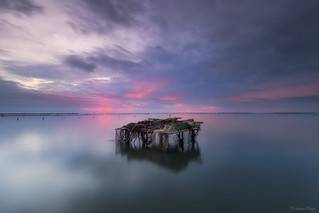 Amanecer en el Delta (Antonio Puche)