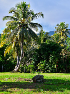 Paagoumene, New Caledonia. (Philip Wood Photography)