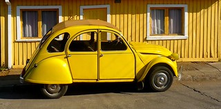 Temuco (Araucan&iacute;a, Chile) &ndash; Celebraci&oacute;n del amarillo (caminanteK)
