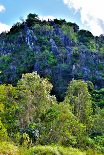 Roches Notre-Dame, New Caledonia. (Philip Wood Photography)