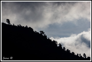 Skyline natural (Jimihendrix II)