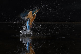 Dia de pesca (Rafael D&iacute;ez)