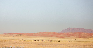 NAMIBIA 2026 (Joan Gonz&aacute;lez_Miratges)