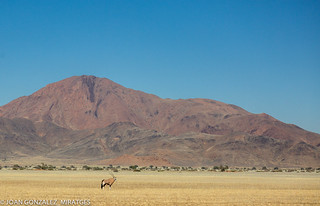 NAMIBIA 2026 (Joan Gonz&aacute;lez_Miratges)