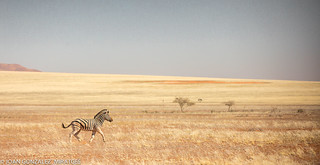 NAMIBIA 2026 (Joan Gonz&aacute;lez_Miratges)