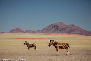 NAMIBIA 2026 (Joan Gonz&aacute;lez_Miratges)