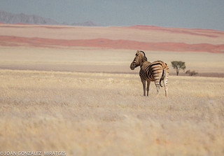 NAMIBIA 2026 (Joan Gonz&aacute;lez_Miratges)