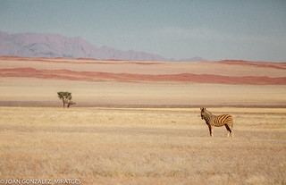 NAMIBIA 2026 (Joan Gonz&aacute;lez_Miratges)