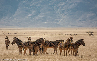 NAMIBIA 2026 (Joan Gonz&aacute;lez_Miratges)
