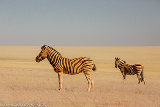 NAMIBIA 2026 (Joan Gonz&aacute;lez_Miratges)