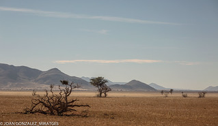 NAMIBIA 2026 (Joan Gonz&aacute;lez_Miratges)