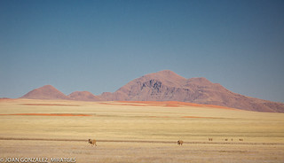 NAMIBIA 2026 (Joan Gonz&aacute;lez_Miratges)