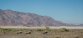 NAMIBIA 2026 (Joan Gonz&aacute;lez_Miratges)