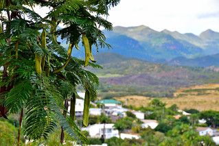 Koumac, New Caledonia. (Philip Wood Photography)