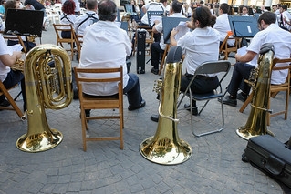 Tubas en reposo. (J.G.Sansano)