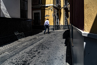 . (P.P.Sanchez)