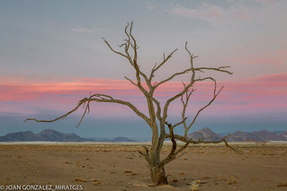 NAMIBIA 2026 (Joan Gonz&aacute;lez_Miratges)