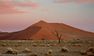 NAMIBIA 2026 (Joan Gonz&aacute;lez_Miratges)