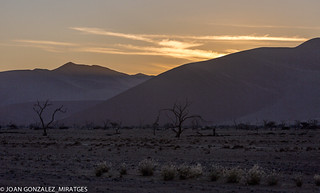 NAMIBIA 2026 (Joan Gonz&aacute;lez_Miratges)
