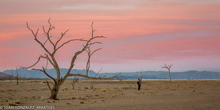 NAMIBIA 2026 (Joan Gonz&aacute;lez_Miratges)