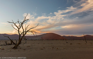 NAMIBIA 2026 (Joan Gonz&aacute;lez_Miratges)