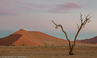 NAMIBIA 2026 (Joan Gonz&aacute;lez_Miratges)
