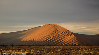 NAMIBIA 2026 (Joan Gonz&aacute;lez_Miratges)