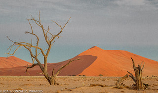 NAMIBIA 2026 (Joan Gonz&aacute;lez_Miratges)