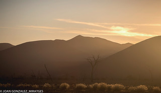 NAMIBIA 2026 (Joan Gonz&aacute;lez_Miratges)